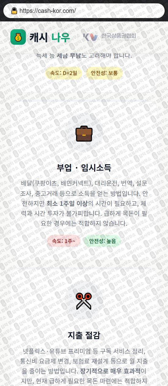 이 사진은 담덕법률사무소에서 캡쳐해둔 캐시(PIN) 웹사이트 캡쳐 사진이며 URL은 cash-kor.com 입니다.