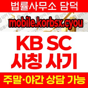 관련(KB SC) 사기 피해 정보 · 담덕법률사무소