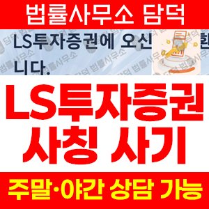 앱사기(LSFIN) 사기 피해 정보 · 담덕법률사무소
