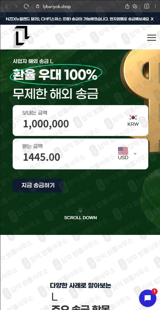 이 사진은 담덕법률사무소에서 캡쳐해둔 사업자 웹사이트 캡쳐 사진이며 URL은 lybariyok.shop 입니다.