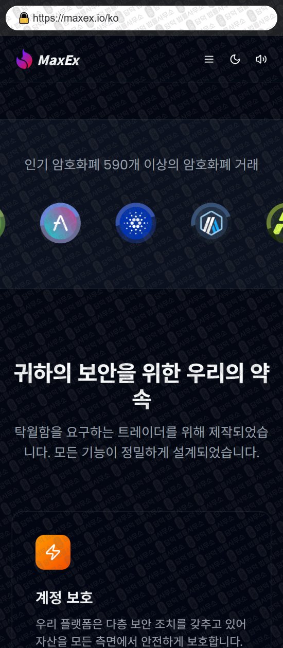 이 사진은 담덕법률사무소에서 캡쳐해둔 사칭(MaxEx) 웹사이트 캡쳐 사진이며 URL은 maxex.io 입니다.
