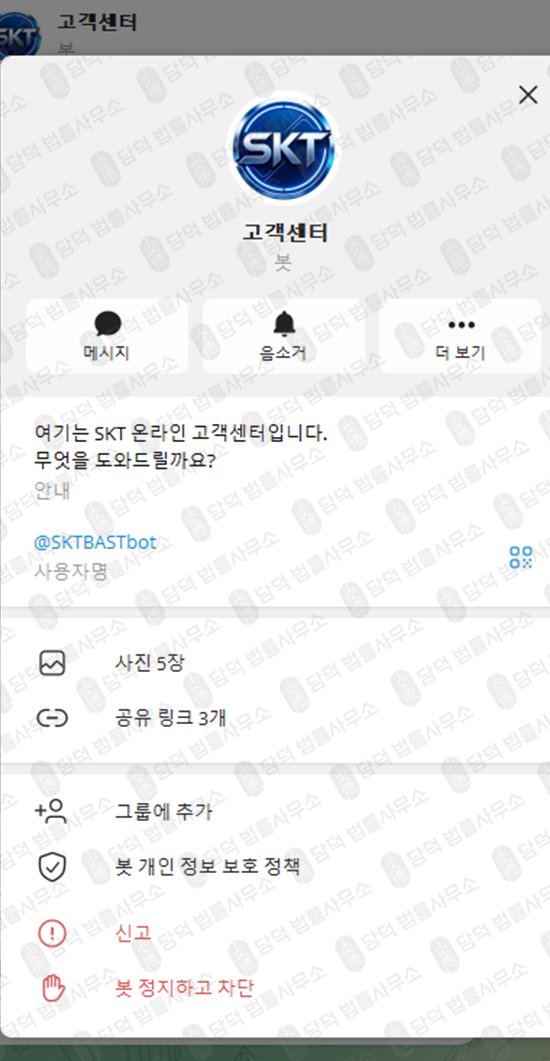 이 사진은 담덕법률사무소에서 캡쳐해둔 스킴(SKTBAST) 웹사이트 캡쳐 사진이며 URL은 google.com 입니다.