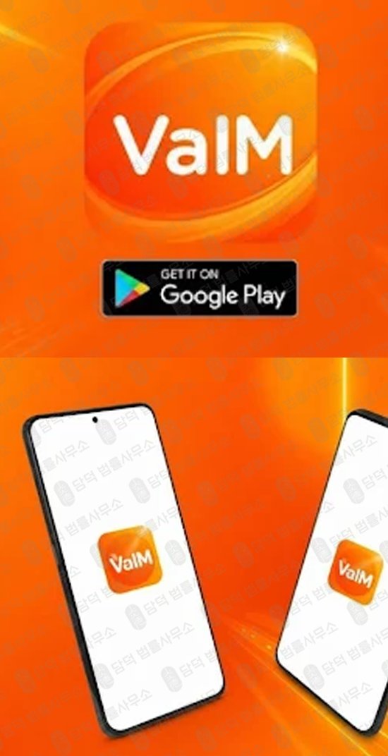 이 사진은 담덕법률사무소에서 캡쳐해둔 바임프로(VaIM PRO) 웹사이트 캡쳐 사진이며 URL은 google.com 입니다.